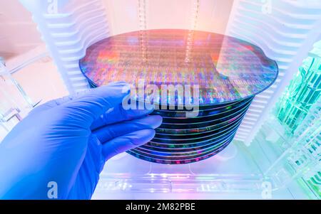 Mano con guanti che tiene un wafer di silicio in una scatola di supporto in plastica utilizzata nell'elettronica per la fabbricazione di circuiti integrati Foto Stock