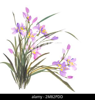 Tradizionale pittura cinese a inchiostro di orchidea Foto Stock