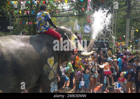 Gente e viaggiatore thailandese si uniscono al Songkran Festival è celebrato in un tradizionale Capodanno con l'acqua spruzzata con elefanti in una strada. Foto Stock