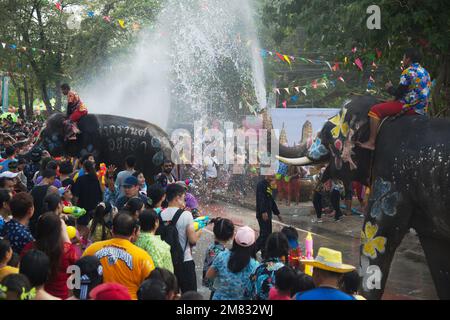 Gente e viaggiatore thailandese si uniscono al Songkran Festival è celebrato in un tradizionale Capodanno con l'acqua spruzzata con elefanti in una strada. Foto Stock