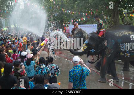 Gente e viaggiatore thailandese si uniscono al Songkran Festival è celebrato in un tradizionale Capodanno con l'acqua spruzzata con elefanti in una strada. Foto Stock