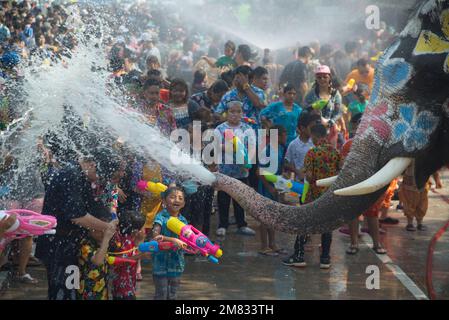 Gente e viaggiatore thailandese si uniscono al Songkran Festival è celebrato in un tradizionale Capodanno con l'acqua spruzzata con elefanti in una strada. Foto Stock