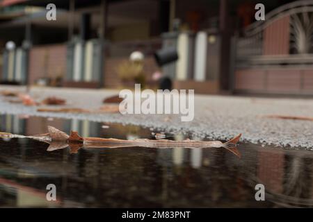 ristagnante piscina d'acqua scena dopo la pioggia al sobborgo strada asfaltata Foto Stock
