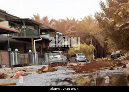 ristagnante piscina d'acqua scena dopo la pioggia al sobborgo strada asfaltata Foto Stock