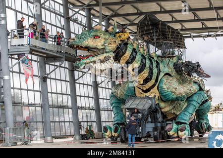 IL DRAGO DI CALAIS, CALAIS, (62) PAS-DE-CALAIS, FRANCIA Foto Stock