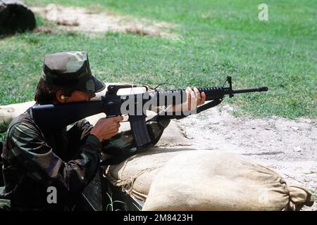 Una donna Marine Recruit spara un fucile M-16A2 da una fossa durante l'addestramento di base presso il Marine Corps Recruit Depot. Base: USMC Recruit Depot,Parris Island Stato: South Carolina (SC) Paese: Stati Uniti d'America (USA) Foto Stock