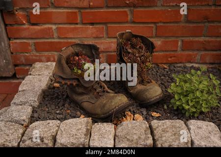 Giardino fiorito in forma di vecchie scarpe Foto Stock