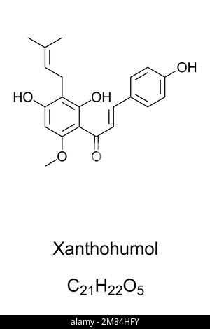Xanthhumol, formula chimica. Prodotto naturale trovato in fiori di luppolo, Humulus lupulus. Si trova anche nella birra, contribuendo all'amarezza. Foto Stock