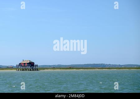 Una Cabane Tchanquée a bassin d'arcachon Foto Stock