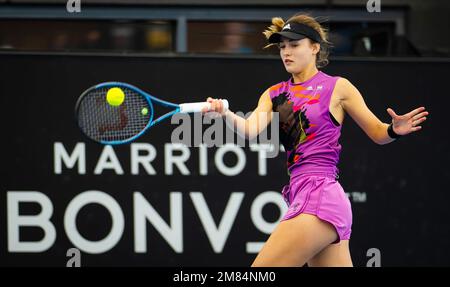 Anna Kalinskaya di Russia durante il secondo turno del 2023° torneo di tennis di Adelaide International 2, WTA 500, il 11 gennaio 2023 ad Adelaide, Australia - Foto: Rob Prange/DPPI/LiveMedia Foto Stock