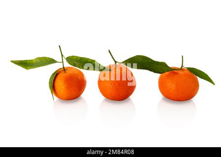 Tre tangerini maturi con foglie verdi, agrumi mandarino isolato su bianco con percorso di ritaglio Foto Stock