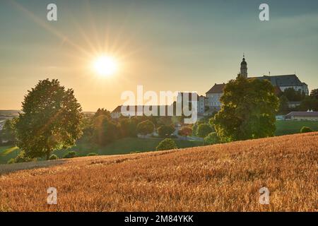 Kloster Neresheim mit Getreidefeld in der Abendsonne Foto Stock