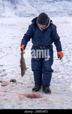 Locali che pescano per 'la pentola', anche se buchi nel ghiaccio di mare a Uummannaq nella Groenlandia occidentale. Foto Stock