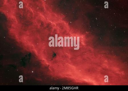 La California Nebula (NGC 1499) situata nella costellazione di Perseus, fotografata in HaRGB dal Regno Unito Foto Stock