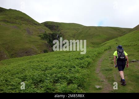 Uomo che cammina su un sentiero per Cautley Spout Waterfall & Crag nelle Howgill Fells vicino Sedbergh nel Yorkshire Dales National Park, Inghilterra, Regno Unito. Foto Stock