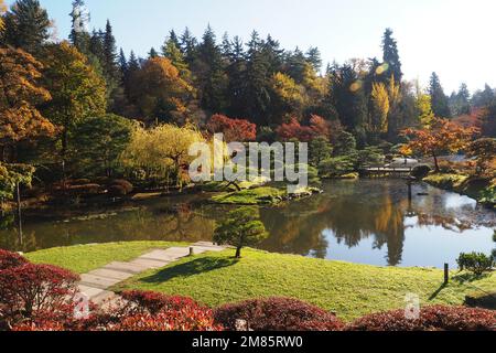 I colori autunnali si riflettono sullo stagno dei koi al Seattle Japanese Garden a Washington Foto Stock