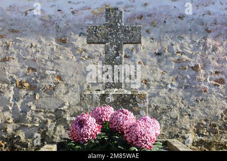 Fleurs sur une tombe. Foto Stock