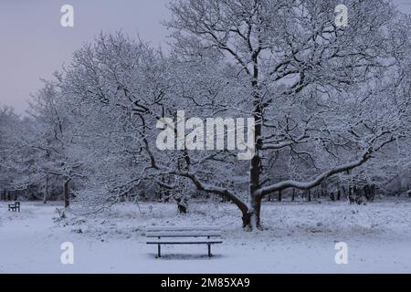 Wimbledon comune, ricoperta di neve dopo diversi centimetri di neve cadde nel dicembre 2022, Londra sud-occidentale, Inghilterra, Regno Unito Foto Stock