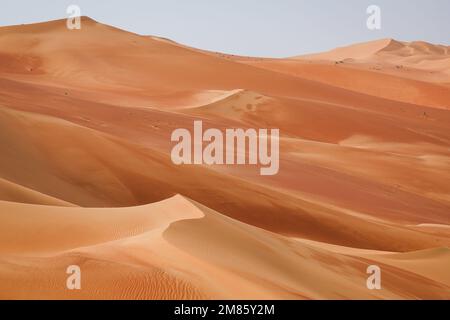 Arabia Saudita - 12 gennaio 2023, le dune durante la fase 11 della Dakar 2023 tra Shaybah e vuota Quarter Marathon, il 12 gennaio 2023 in vuota Quarter Marathon, Arabia Saudita - Foto Florent Gooden / DPPI Foto Stock