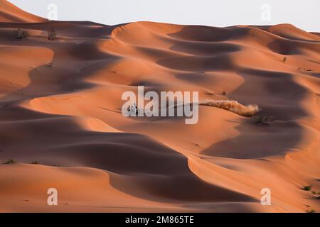 Arabia Saudita - 12/01/2023, 16° BRANCH Ross (bwa), Hero Motorsports Team Rally, Hero, Moto, FIM W2RC, Motul, Azione durante la fase 11 della Dakar 2023 tra Shaybah e la Maratona del quartiere vuoto, il 12 gennaio 2023 in Maratona del quartiere vuoto, Arabia Saudita - Foto: Florent Gooden/DPPI/LiveMedia Foto Stock