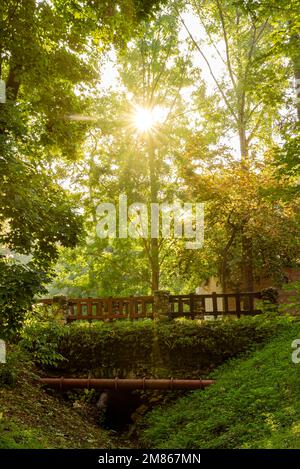 Giardino inglese a Tata città Ungheria. Si tratta di un bellissimo parco pubblico gratuito per i visitatori. Incredibile zona verde con un lago. Foto Stock