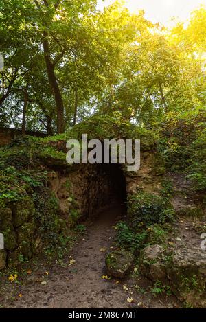 Giardino inglese a Tata città Ungheria. Si tratta di un bellissimo parco pubblico gratuito per i visitatori. Incredibile zona verde con un lago. Foto Stock