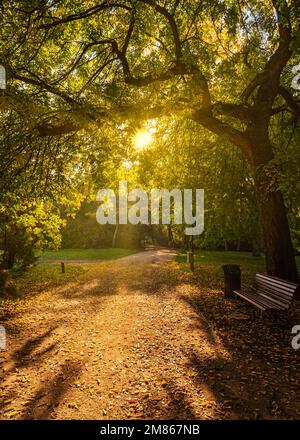 Giardino inglese a Tata città Ungheria. Si tratta di un bellissimo parco pubblico gratuito per i visitatori. Incredibile zona verde con un lago. Foto Stock