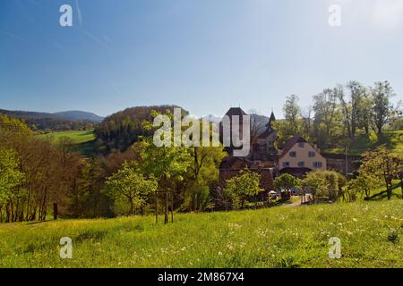Castello di Wildenstein a Baselbiet, Canton Basilea-Landschaft, Svizzera Foto Stock