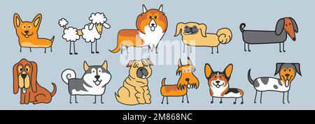 Modello di molti diversi allevamenti di cani, volpe terrier, mastiff, shar pei, chihuahua, spitz: laika, husky, collie, pastore scozzese, dachshund Illustrazione Vettoriale