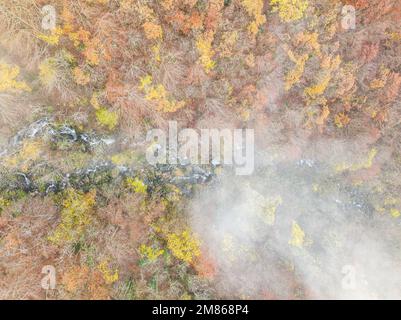 Un punto panoramico sospeso che offre una vista panoramica di una foresta selvaggia e autunnale, adornata da una vibrante gamma di foglie d'albero in varie sfumature. Foto Stock