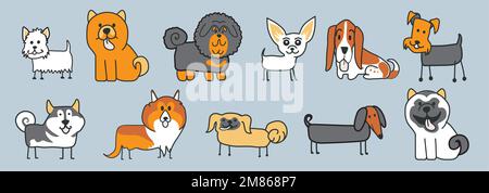 Modello di molti diversi allevamenti di cani, volpe terrier, mastiff, shar pei, chihuahua, spitz: laika, husky, collie, pastore scozzese, dachshund Illustrazione Vettoriale