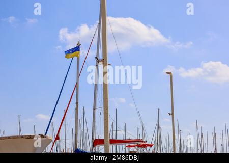 Alberi di yacht con bandiera di Ucraina contro il cielo blu Foto Stock