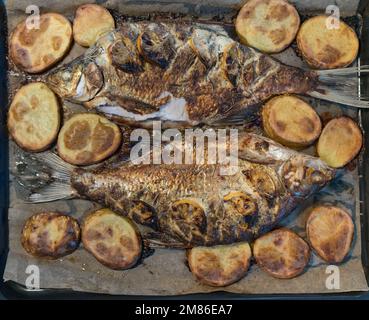 Pesce fresco appena cotto con rosmarino fresco e specie con limoni a fette e servito con patate sulla pentola di cottura. TAS Foto Stock