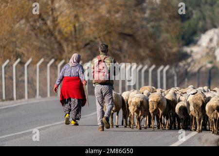 I pastori di marito e moglie che camminano il loro gregge in Turchia Foto Stock