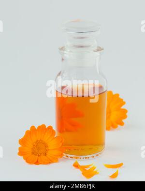 Una bottiglia di tintura di marigold della pentola o infusione con i fiori freschi di Calendula su fondo bianco. Medicina alternativa naturale di erbe, healing e. Foto Stock