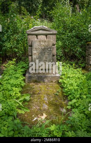 Antica tomba di pietra arenaria in erba alta nel cimitero di Bernardine a Vilnius Lituania Foto Stock