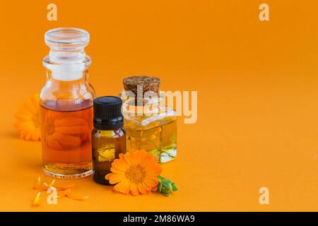 Calendula. Bottiglie di olio cosmetico, aromatico o essenziale e fiori di calendula freschi su fondo arancione. Aromaterapia, spa, benessere Foto Stock