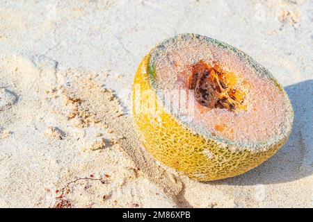 Melone di melone pieno di sabbia sulla spiaggia di Playa del Carmen Quintana Roo Messico. Foto Stock