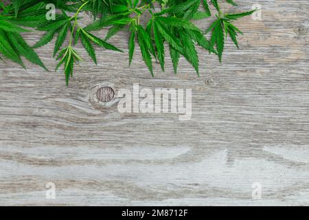 Vista dall'alto delle foglie verdi di cannabis confinano su vecchio sfondo di legno con spazio per il testo Foto Stock