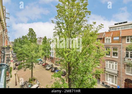 una strada vuota nel centro di amsterdam, con auto parcheggiate su entrambi i lati e alberi che crescono lungo la strada Foto Stock