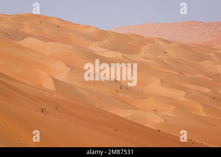 Arabia Saudita - 12/01/2023, le dune durante la fase 11 della Dakar 2023 tra Shaybah e vuota Quarter Marathon, il 12 gennaio 2023 in vuota Quarter Marathon, Arabia Saudita - Foto: Florent Gooden/DPPI/LiveMedia Foto Stock