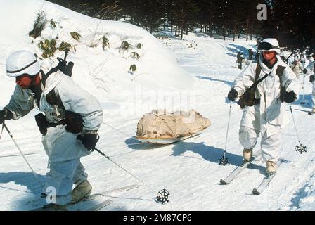 Membri del 3rd BN., 22nd INF., 25th INF. Div., pratica lo sci mentre traina una slitta caricata durante l'esercizio Northwind '87. I membri della 25th Divisione di Fanteria stanno subendo 23 giorni di speciale allenamento a basse temperature con i membri della forza di autodifesa di terra giapponese nelle aree di addestramento Kotani e Hirosaki. Subject Operation/Series: NORTHWIND '87 base: Camp Aomori Paese: Giappone (JPN) Foto Stock