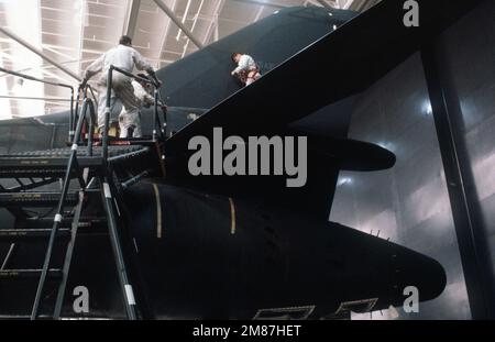 A1c Douglas Handke rimuove il pannello dell'attuatore stabilizzatore dalla coda di un aereo bombardiere B-1B Bomb Wing 96th mentre altri due membri dello squadrone di manutenzione si avvicinano per assistere. Base: Dyess Air Force base Stato: Texas (TX) Paese: Stati Uniti d'America (USA) Foto Stock