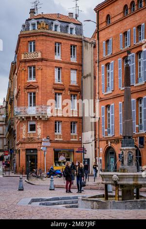Fontana, obelisco e facciate in mattoni di Piazza Saint Etienne nel centro storico di Tolosa nel sud della Francia (Haute Garonne) Foto Stock