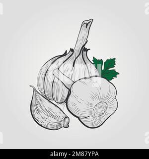 Illustrazione vettoriale disegnata a mano - aglio con vettore fogliare. Fiore pianta con foglie Illustrazione Vettoriale