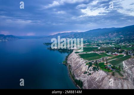 Vigneto con filari di uva Okanagan Valley, campi, valle lussureggiante, montagne, deserto, British Columbia, Canada Foto Stock