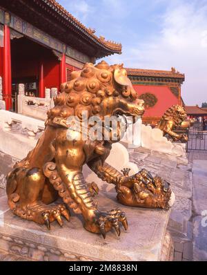 Statua del Leone d'oro fuori porta di purezza celeste, Corte interna della Città Proibita (Zǐjìnchéng), Dongcheng, Pechino, Repubblica popolare Cinese Foto Stock