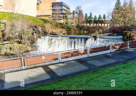 Una vista del Brewery Park con una delle cascate di Tumwater Falls. Foto Stock