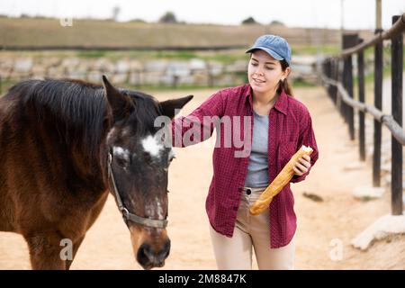 Donna che si prende cura di cavalli in fattoria Foto Stock