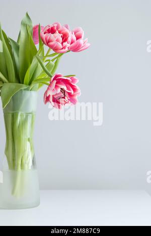 Bouquet fresco di tulipani rosa in vaso di vetro trasparente su sfondo bianco con spazio copia Foto Stock